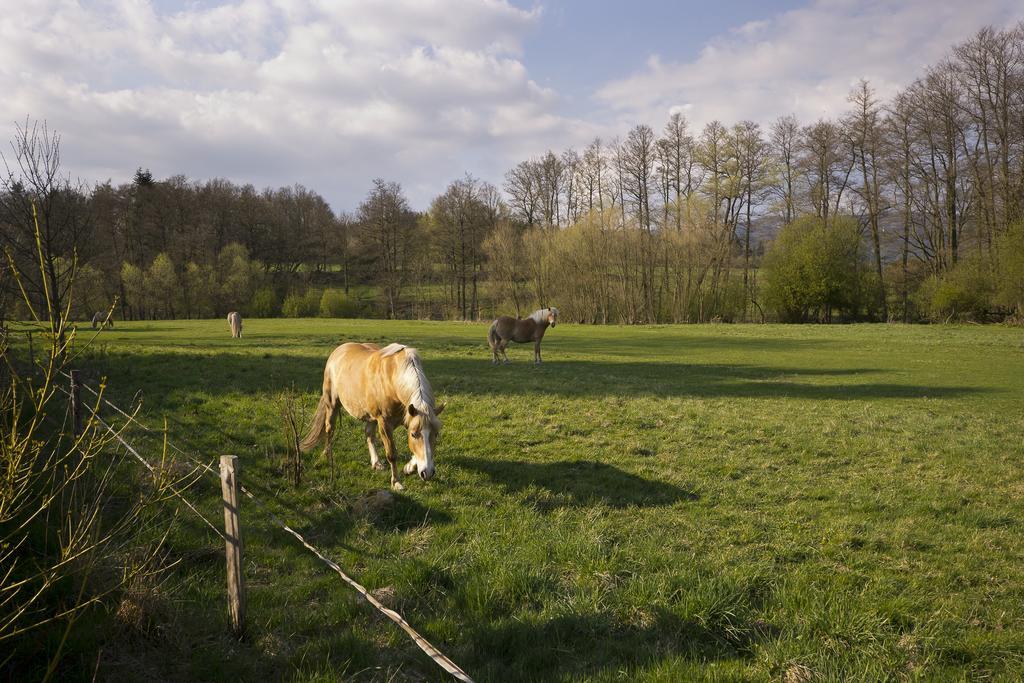 Penzion HonoreDepoltovice エクステリア 写真